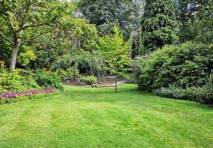 Optimiser l'expérience du jardin à Bostens