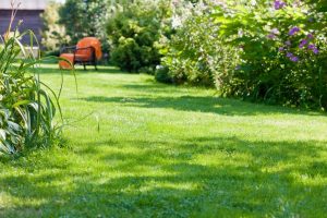 travaux jardin et paysage Bostens